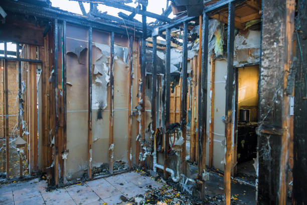 Professional Smoke Damage Removal technician working in Thomas, OK
